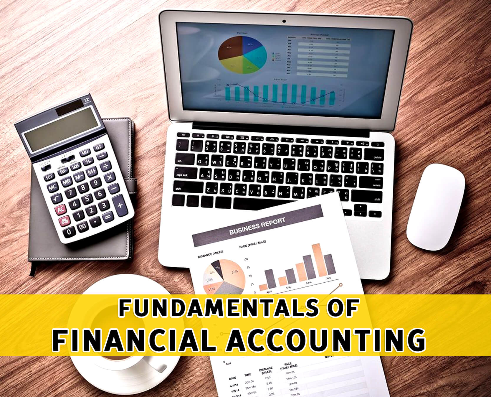 Computerized Financial Accounting