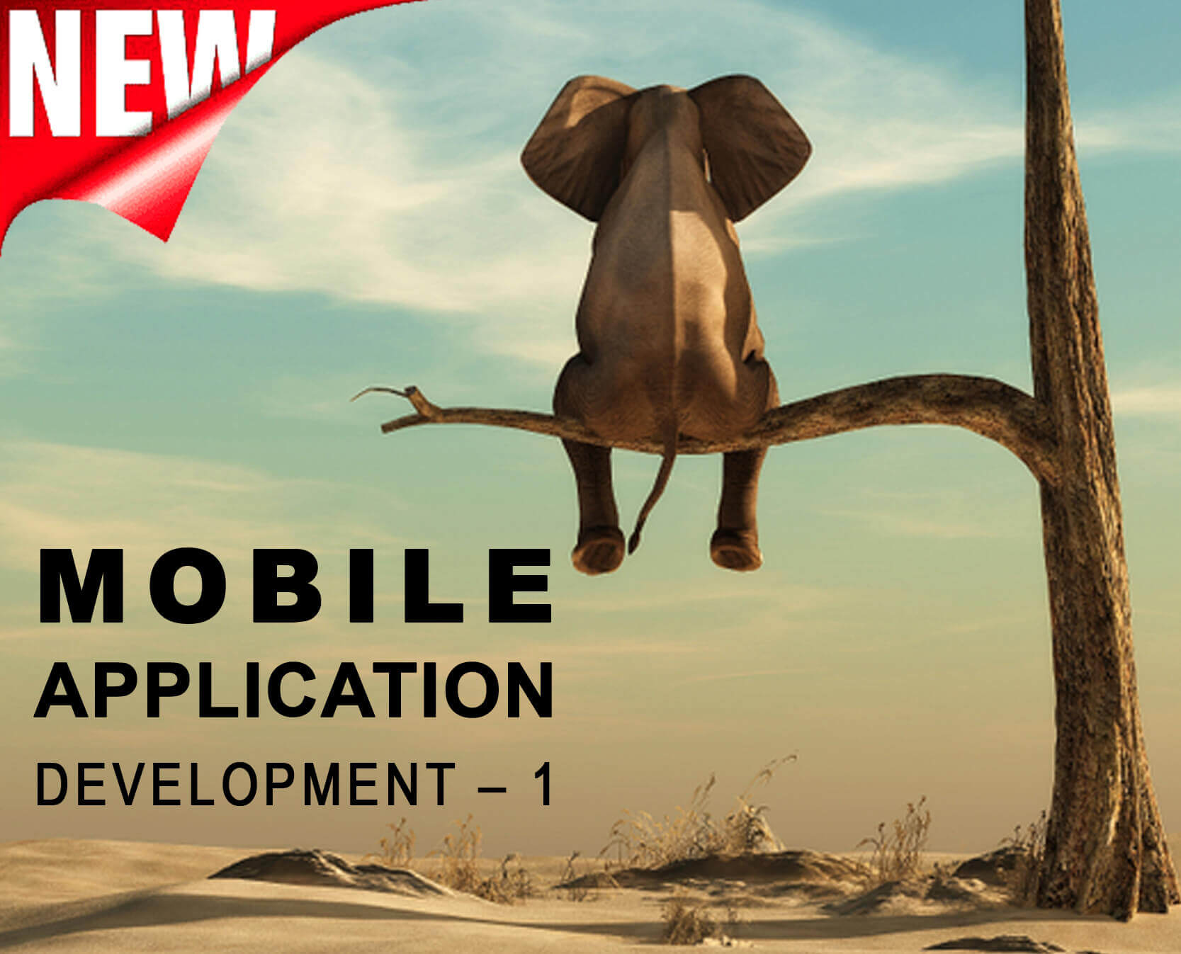 Mobile Application Development – 1